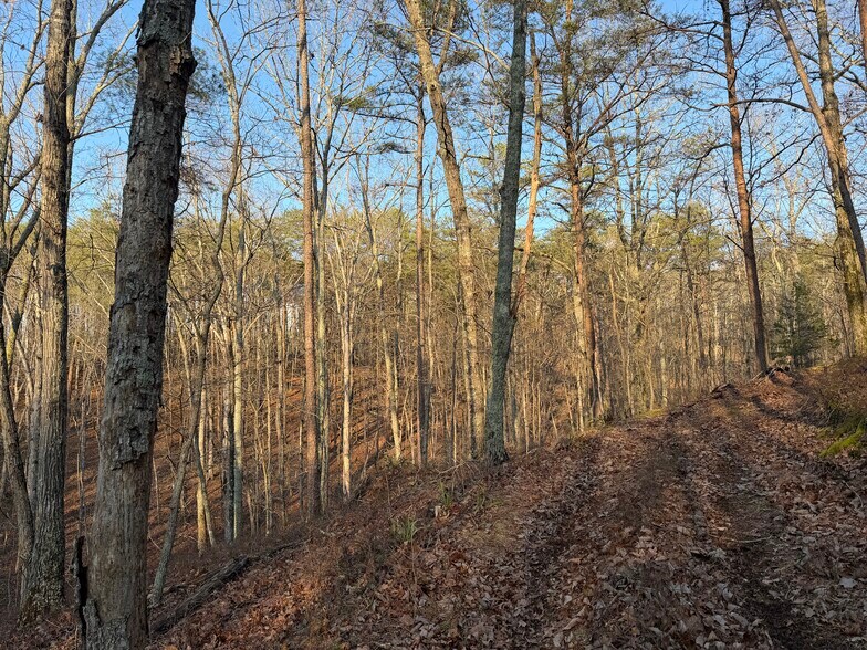 More Photos Of 260 Arnold Rd NE, Fairmount Land For Sale