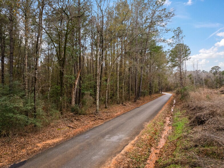 More Photos Of TBD 25 acres Tatoo Road, Glenmora Land For Sale