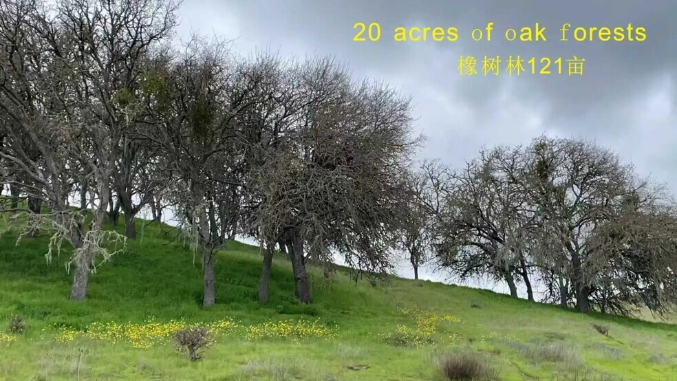 More Photos Of 5185 Union Rd, Paso Robles Winery Vineyard For Sale