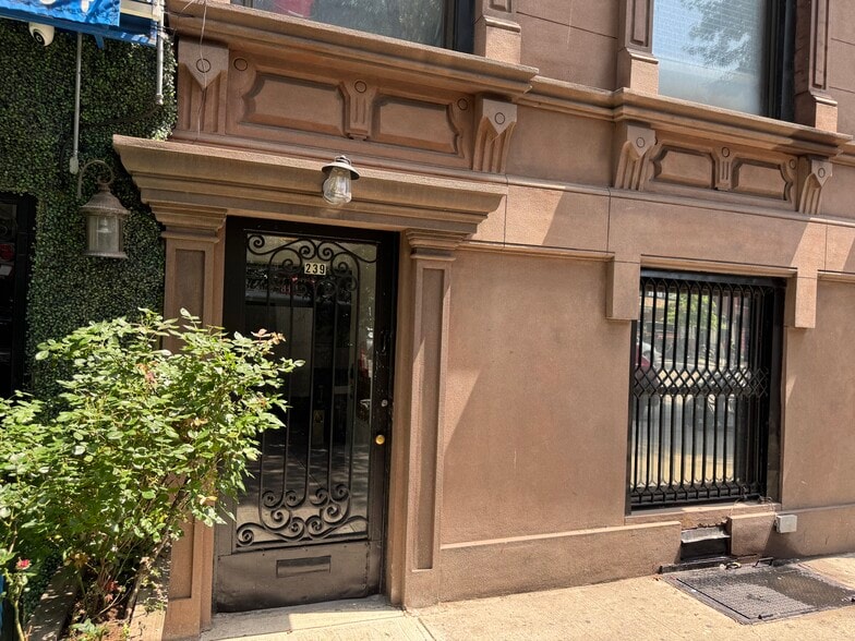Primary Photo Of 239 E 116th St, New York Apartments For Sale