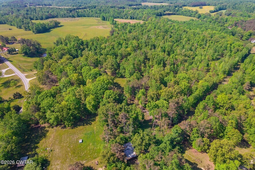 Primary Photo Of 9402 Brooksie Thompson Rd, Bath Springs Land For Sale