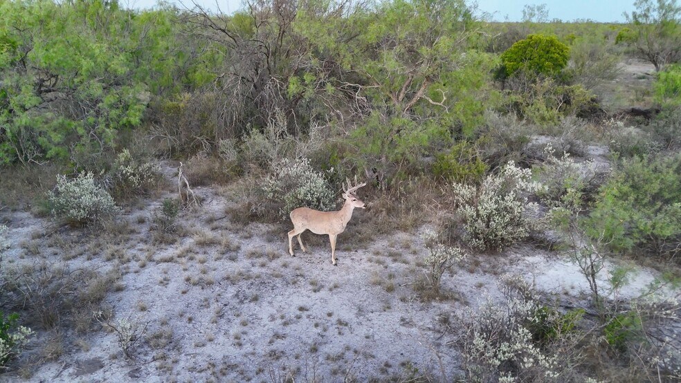 More Photos Of 000 Ranch to Market 3008, Brackettville Land For Sale