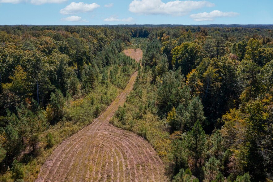 More Photos Of Walter Bright Road & 15-501, Sanford Land For Sale