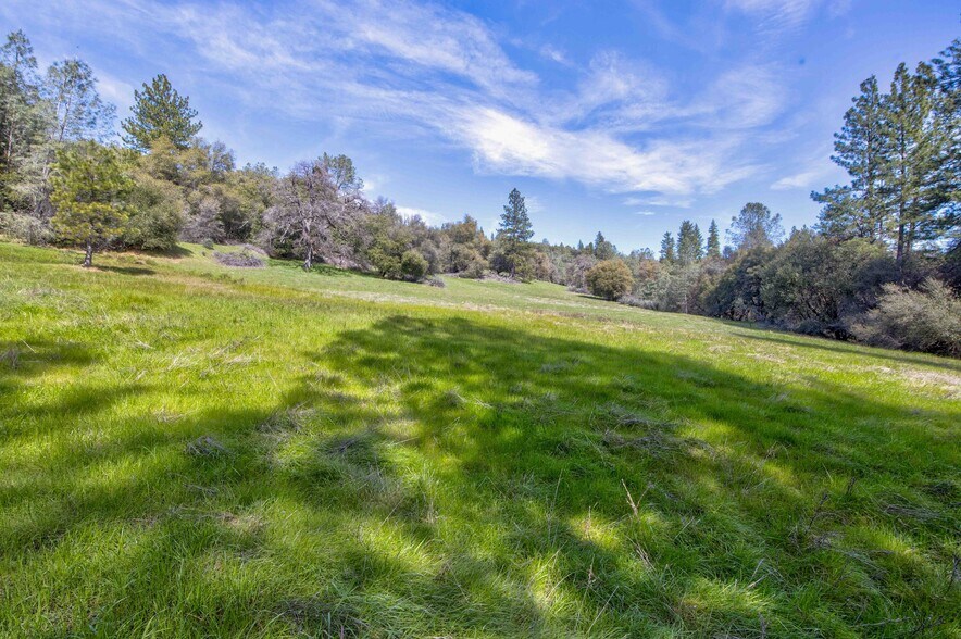 More Photos Of 18800 Charleston Rd, Volcano Land For Sale
