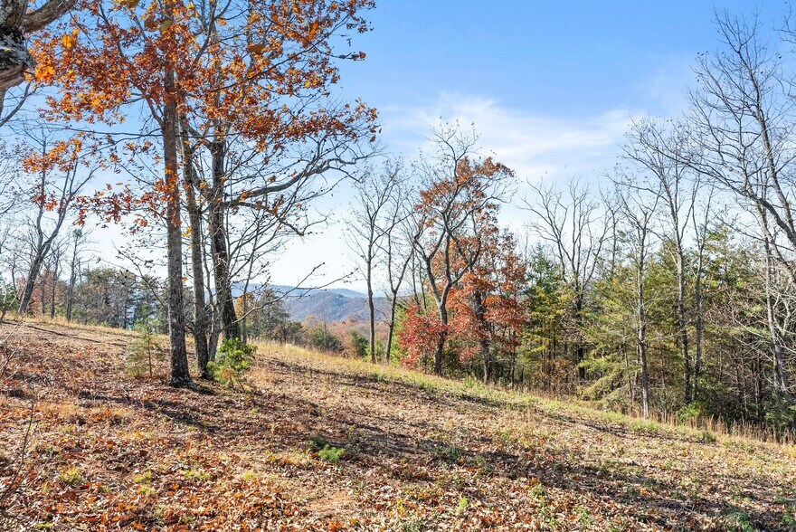 More Photos Of 00 Helton Road Rd, Cleveland Land For Sale