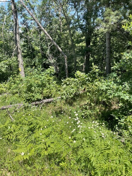 More Photos Of Hwy 12/16 & 60th St, Wisconsin Dells Land For Sale