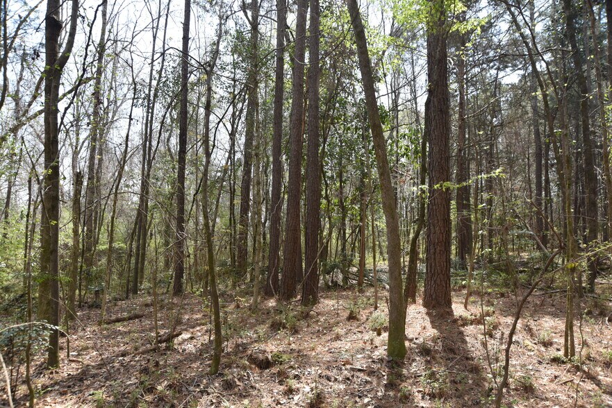 More Photos Of Warm Springs Rd @ GA-208, Waverly Hall Land For Sale