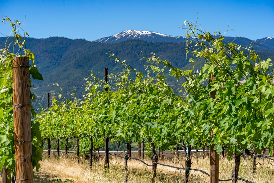 More Photos Of 786 Pompadour Dr, Ashland Land For Sale