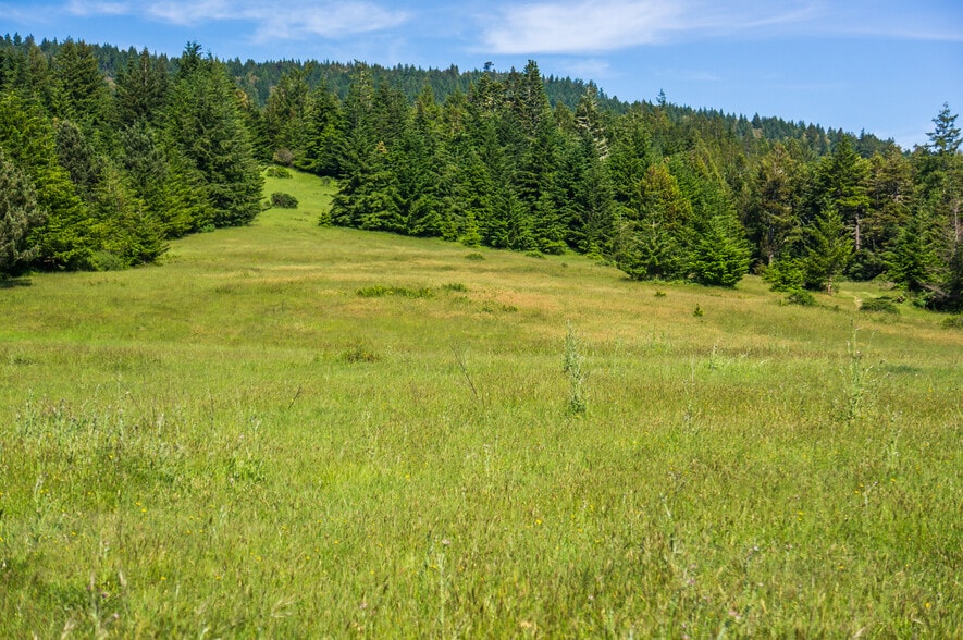 More Photos Of 16401 South Highway 1, Manchester Land For Sale