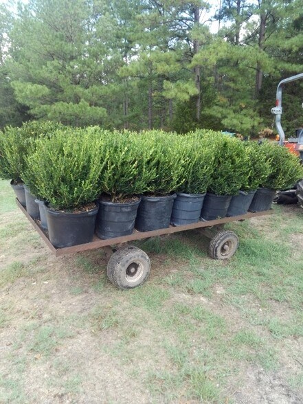 More Photos Of 224 Co Rd 096, Jasper Land For Sale