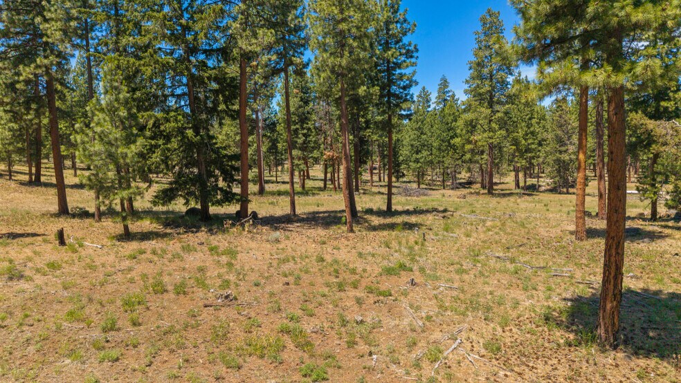 More Photos Of 0 Blue Wing Street, Keno Land For Sale