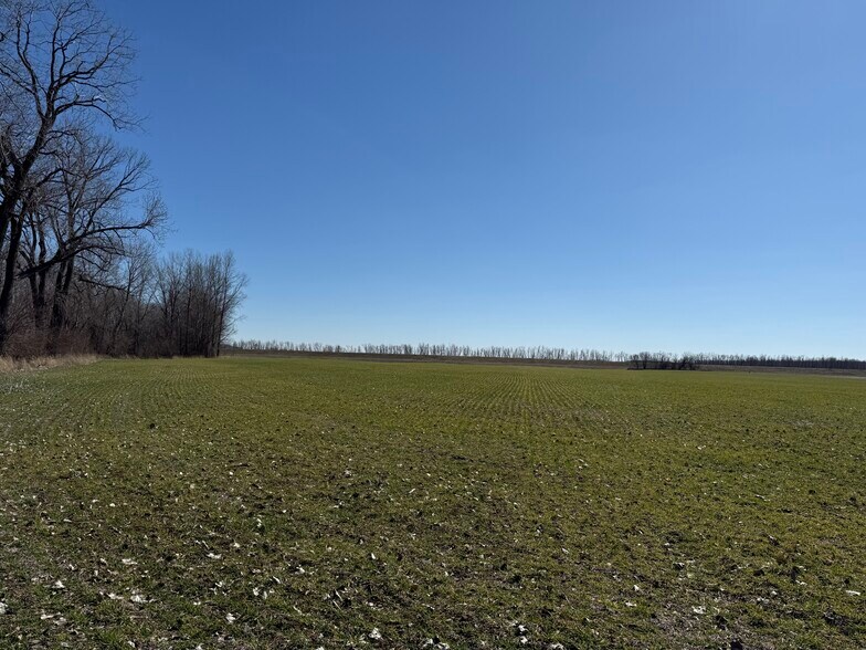 More Photos Of 000 State Route 156, Valmeyer Land For Sale