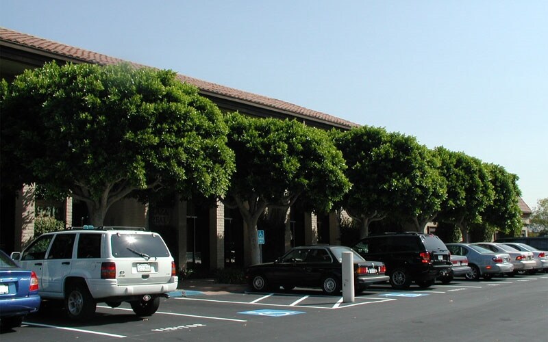 More Photos Of 39210 State St, Fremont Medical For Lease
