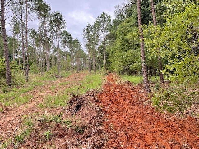 More Photos Of 1408 Us 82 W, Leesburg Land For Sale