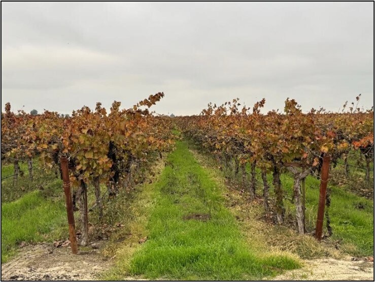 More Photos Of 20303 Road 4 rd, Chowchilla Land For Sale