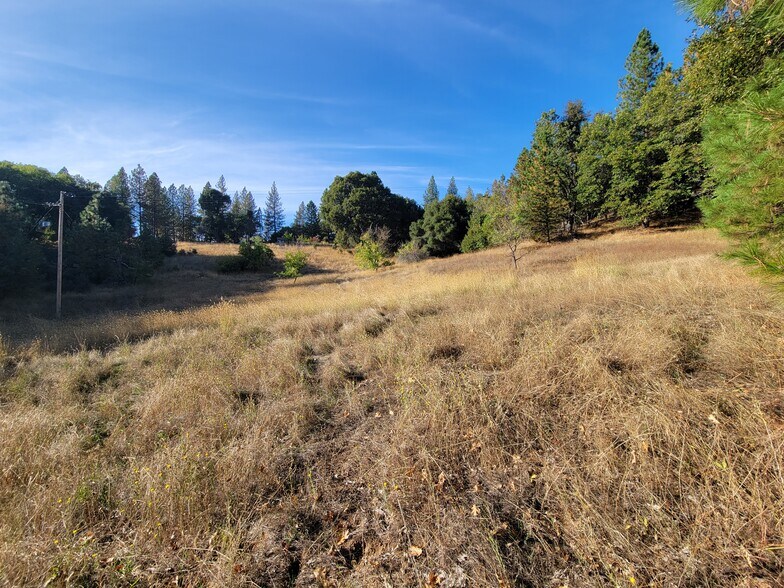 More Photos Of 3369 N Railroad Flat Rd, Wilseyville Land For Sale