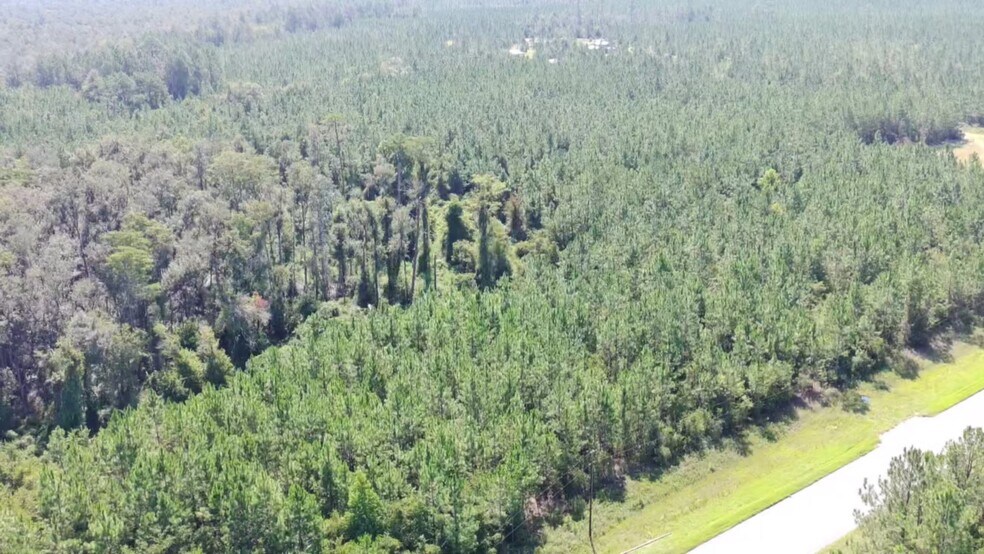 More Photos Of E/S of Pearson Highway at Cowart Road, Homerville Land For Sale