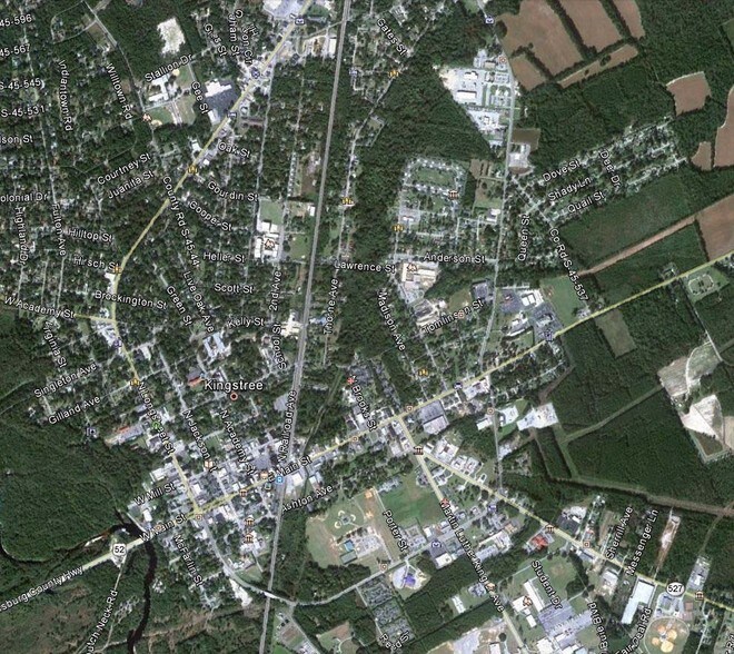 More Photos Of 109 Martin Luther King Ave, Kingstree Land For Sale