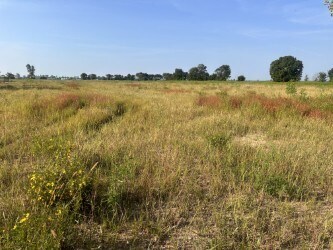 More Photos Of 9520 S State Route 78, Ridgely Service For Sale