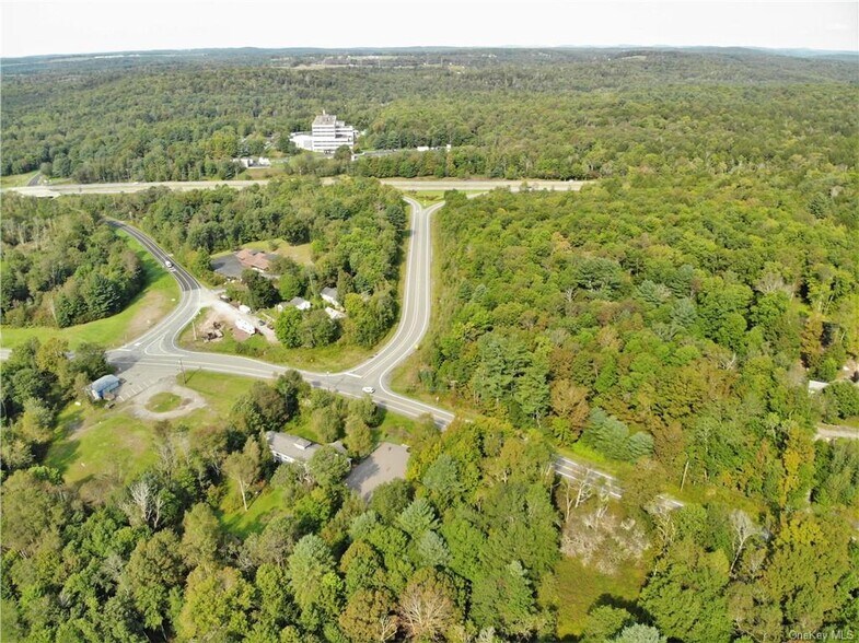 More Photos Of Old Route 17 @ County Route 174, Harris Land For Sale