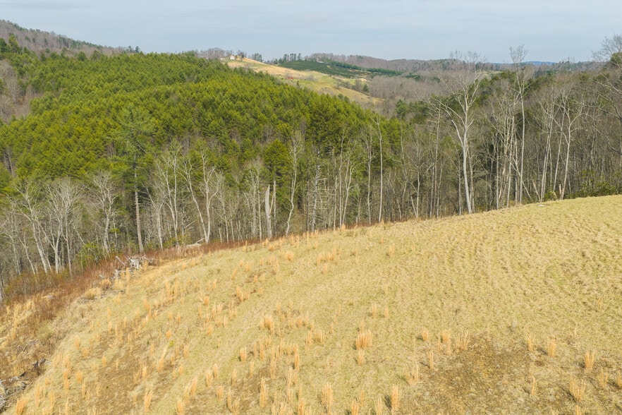 More Photos Of TBD Carsonville Road, Independence Land For Sale