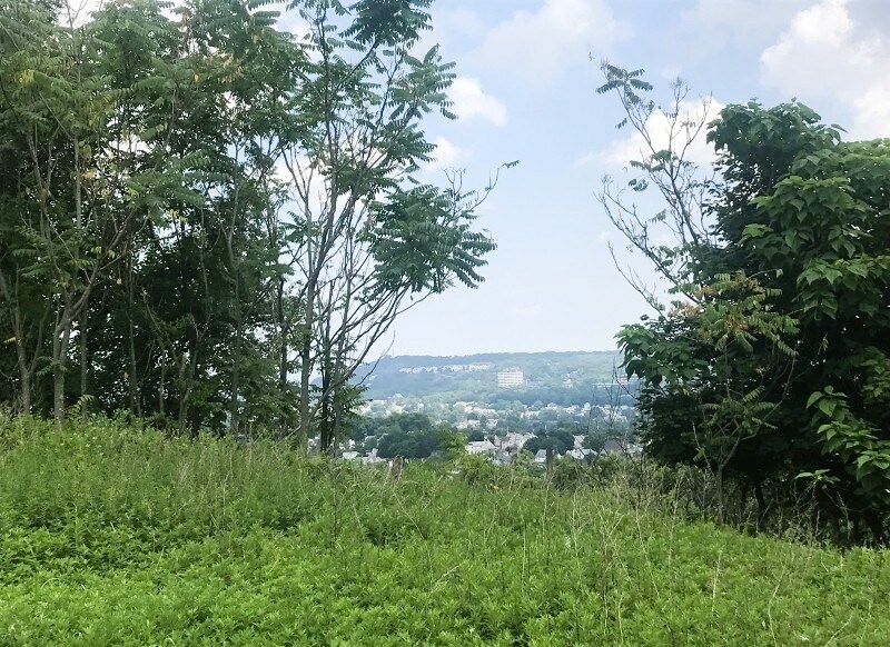 Primary Photo Of 6 Columbus Ave, Totowa Land For Sale