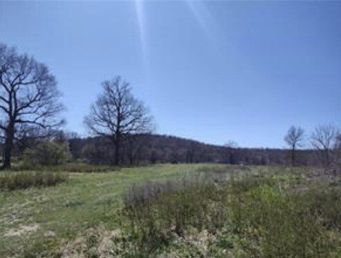 Primary Photo Of Hewitt Springs Rd, Springdale Land For Sale