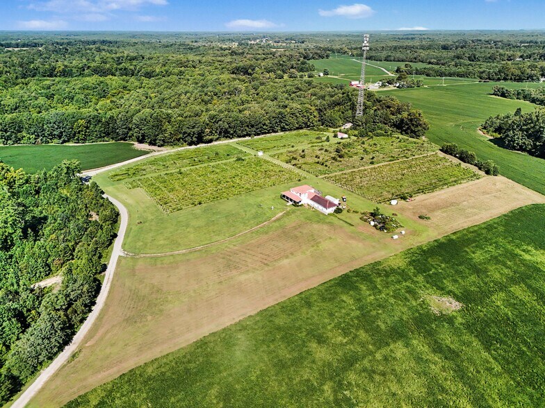 More Photos Of 495 Meadow Landing Ln, Caret Winery Vineyard For Sale