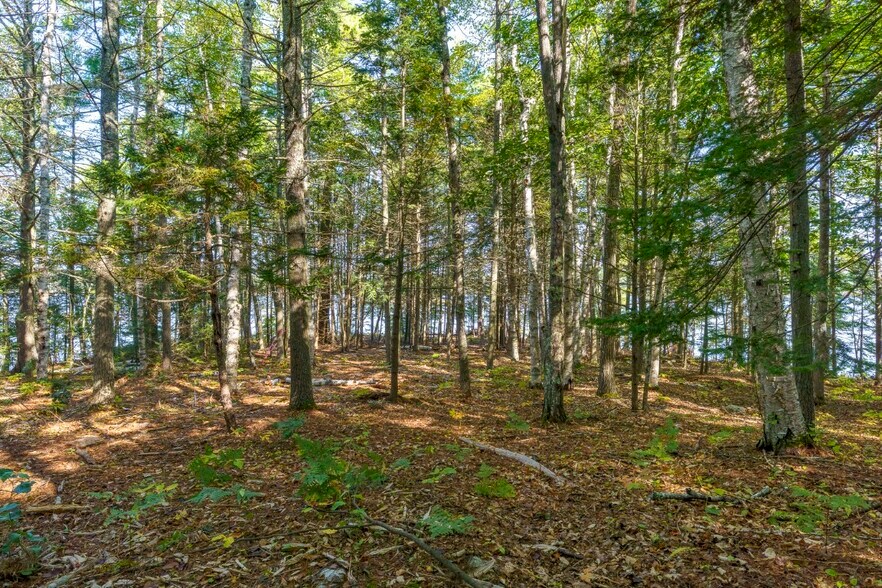 More Photos Of 48 Route One, Edgecomb Land For Sale