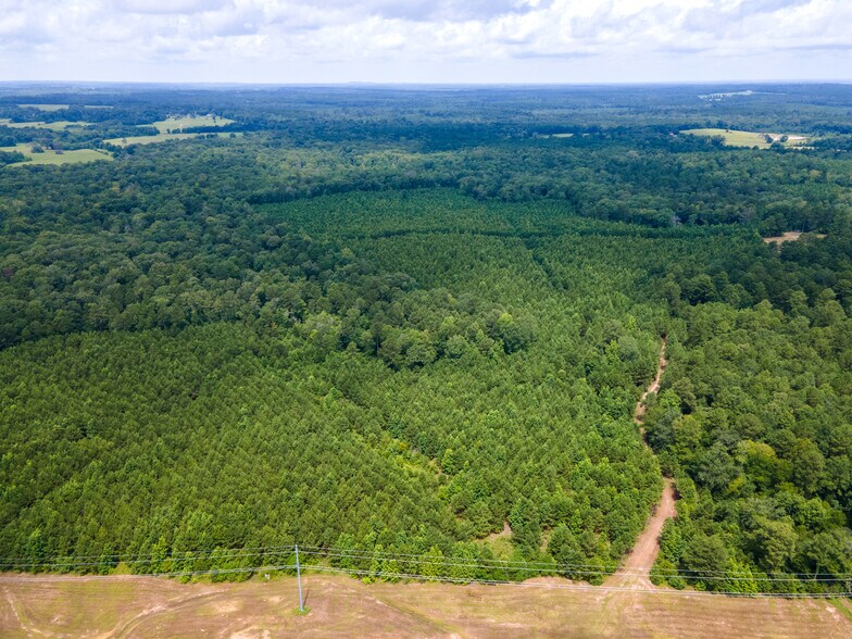 More Photos Of 2539 FM 995, Atlanta Land For Sale