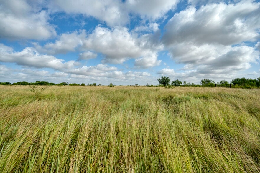 More Photos Of 2538 County Road 223, Floresville Land For Sale