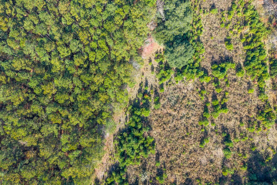 More Photos Of 50 Old River Rd, Bloomingdale Land For Sale