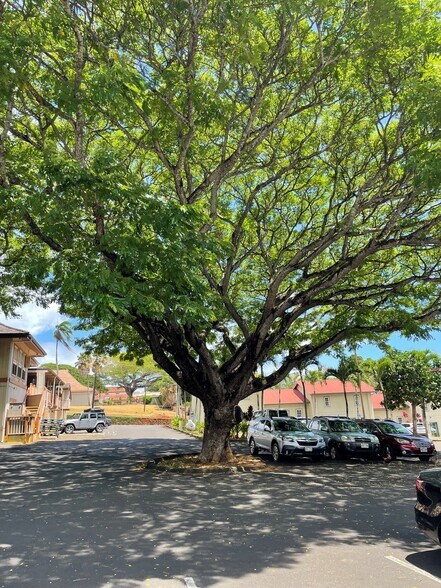More Photos Of 4491 Rice St, Lihue Unknown For Lease