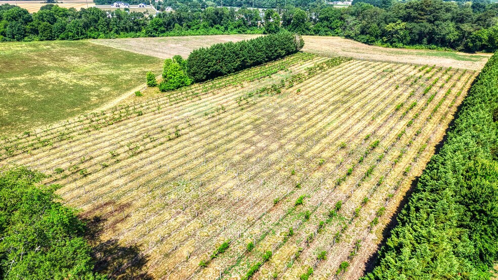 More Photos Of 1683 Peach Basket Rd, Felton Winery Vineyard For Sale