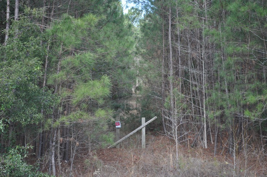 0 Dorchester Rd, Summerville, SC 29485 Land For Sale