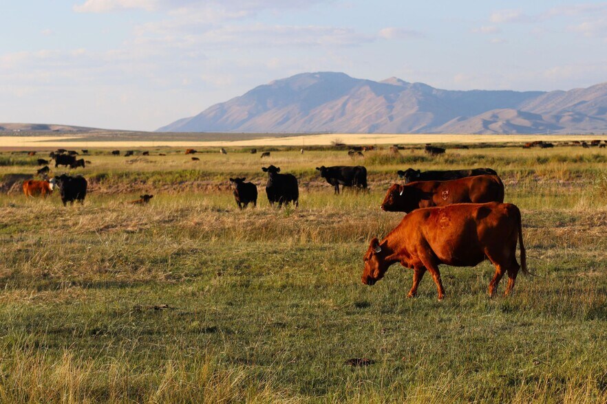 More Photos Of 0 Olsen Rd, Cokeville Land For Sale