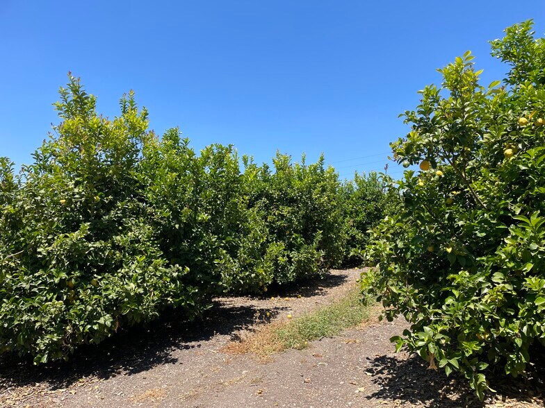 215 Rancho Rd, Nipomo, CA 93444 Land For Sale