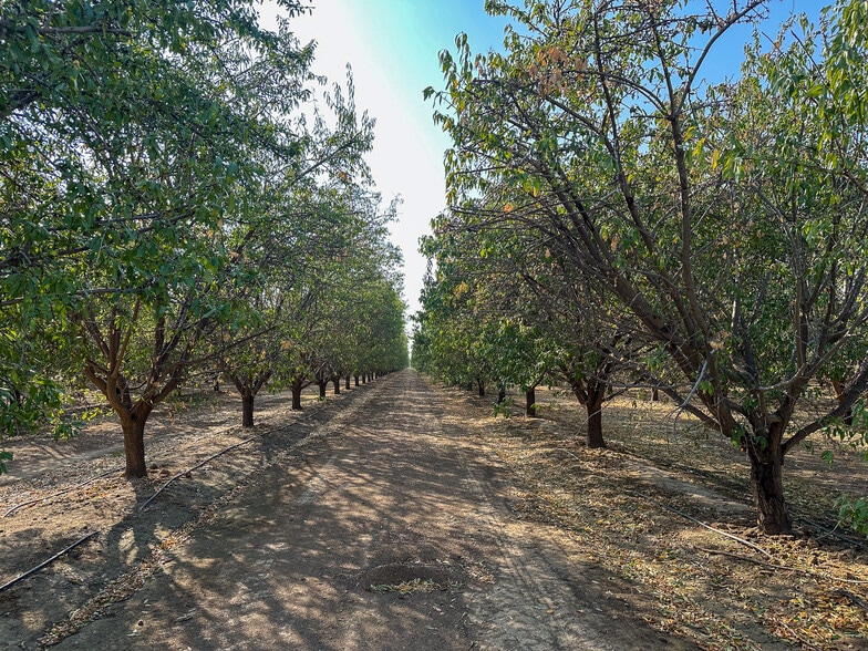 More Photos Of Bear Mountain Blvd. @ Malaga Rd., Arvin Land For Sale