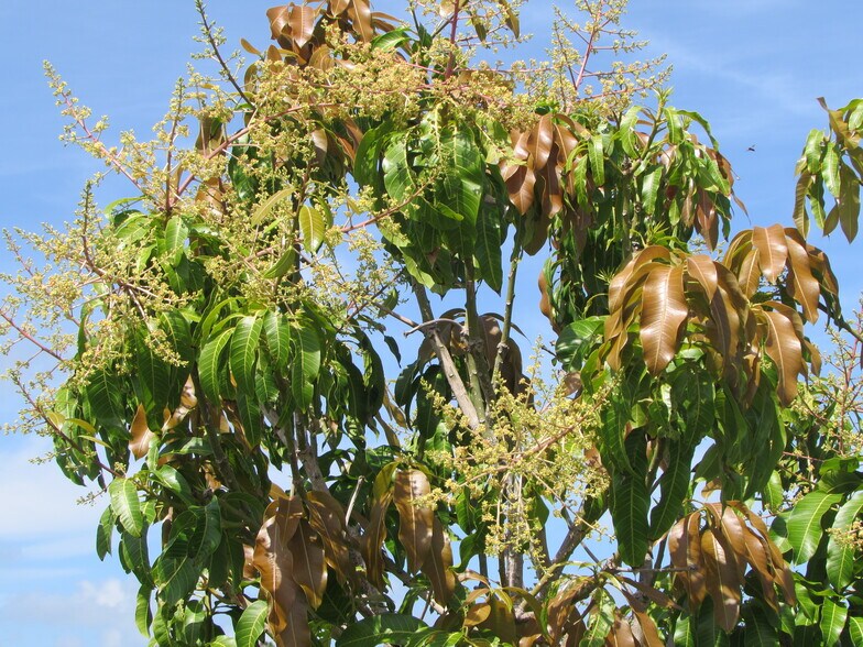 More Photos Of 9000 Stringfellow Rd, Saint James City Land For Sale