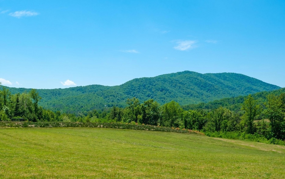Primary Photo Of 0 Boonesville Rd, Dyke Land For Sale