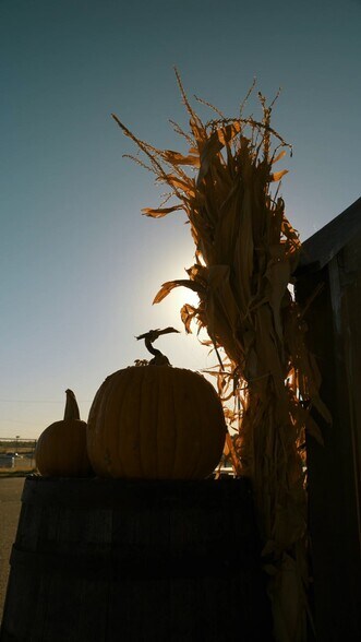 Primary Photo Of 1675 NW 32nd St, Newcastle Specialty For Sale