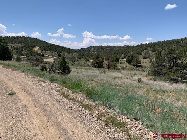 Primary Photo Of 337 County 4018 rd, Navajo Dam Land For Sale