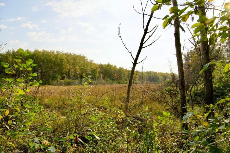 More Photos Of 371 Hwy, Brainerd Land For Sale