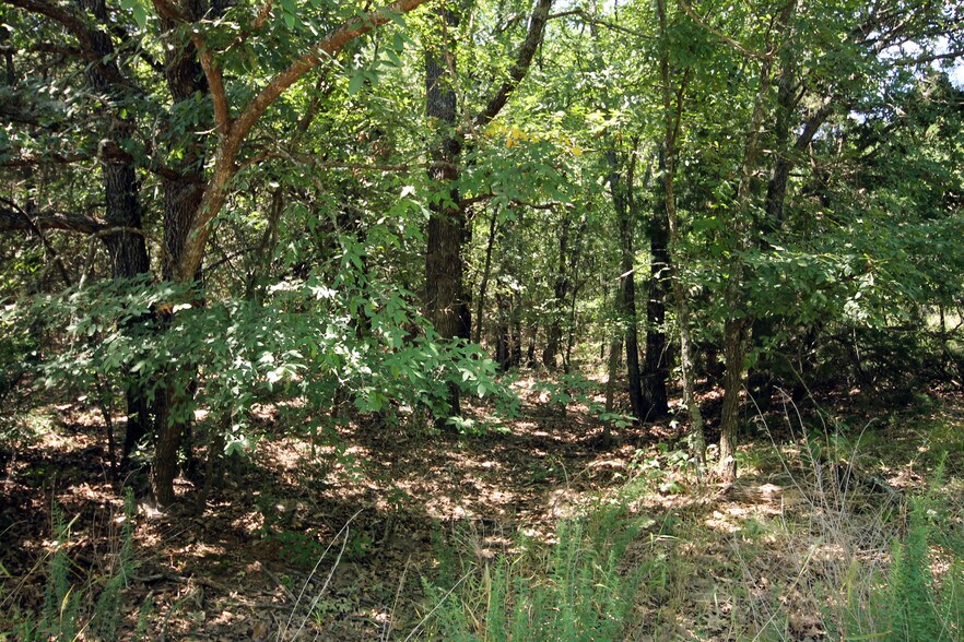 More Photos Of 13305 Joe Allen Rd, Pilot Point Land For Sale