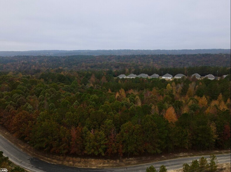 More Photos Of EO Road, Odenville Land For Sale