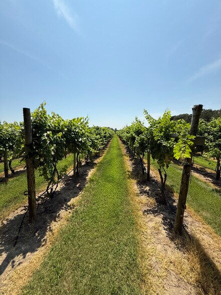More Photos Of 221 N Delsea Dr, Cape May Court House Winery Vineyard For Sale