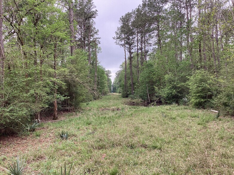 More Photos Of 0 County Road 4876, Dayton Land For Sale