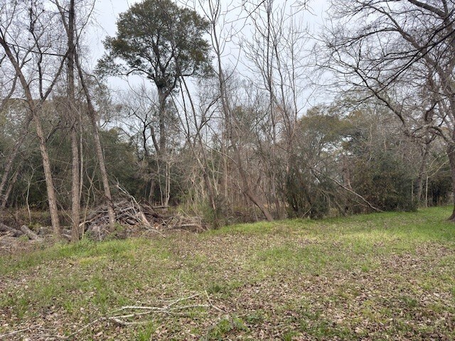 More Photos Of 2022 Pecan St, Katy Land For Sale