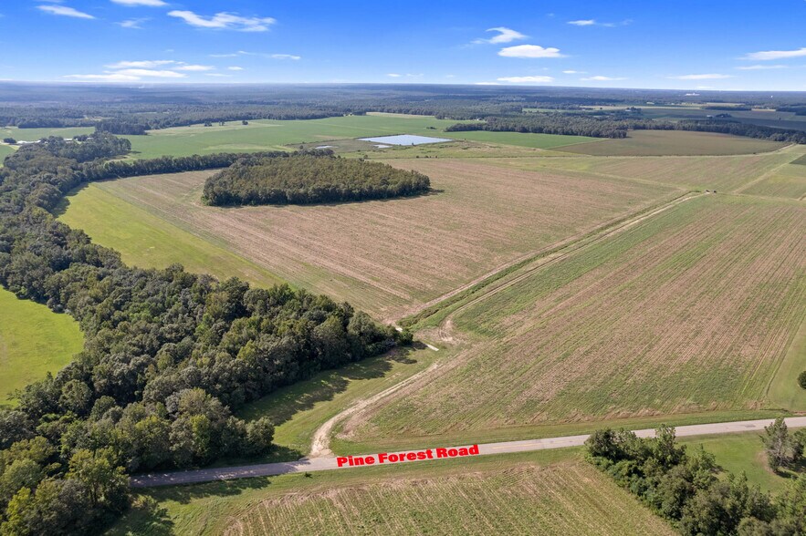 More Photos Of 5700 Pine Forest Rd, Walnut Hill Land For Sale