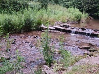 More Photos Of 4259 Pickens Hwy, Rosman Hospitality For Lease